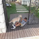 Beyaz Tas Butik فندق