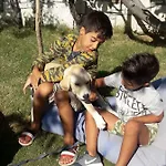 Beyaz Tas Butik 2* Ayvalı