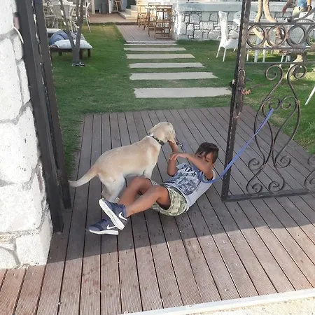 Beyaz Tas Butik فندق