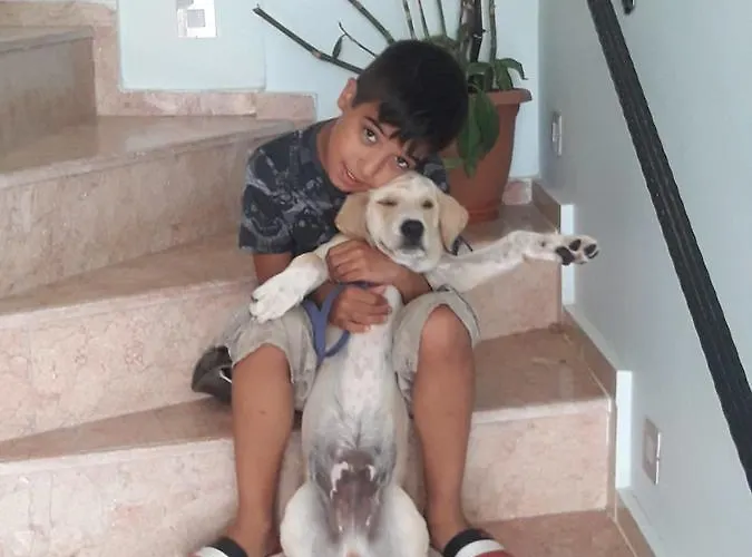 Beyaz Tas Butik Отель