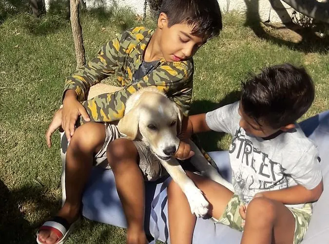 Beyaz Tas Butik 2* Айвалык