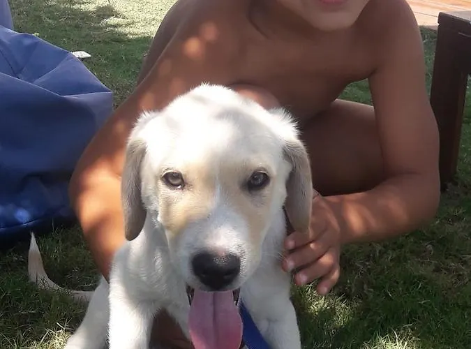 Отель Beyaz Tas Butik