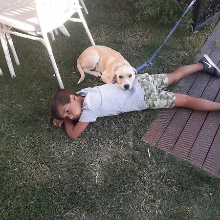 Beyaz Tas Butik Hotel 2*