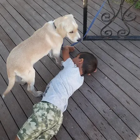 Beyaz Tas Butik Hotel 2*