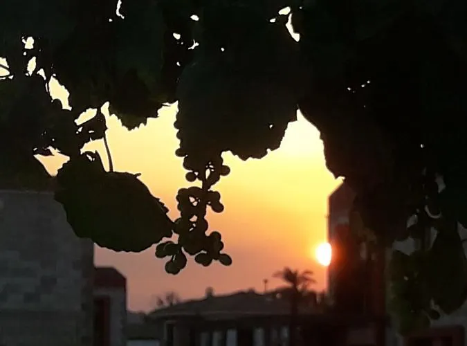 Hotel Beyaz Tas Butik Ayvalı