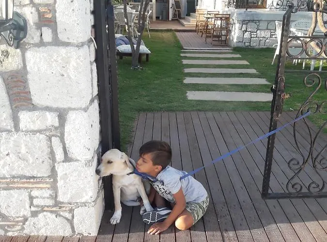 Beyaz Tas Butik Hotel 2*