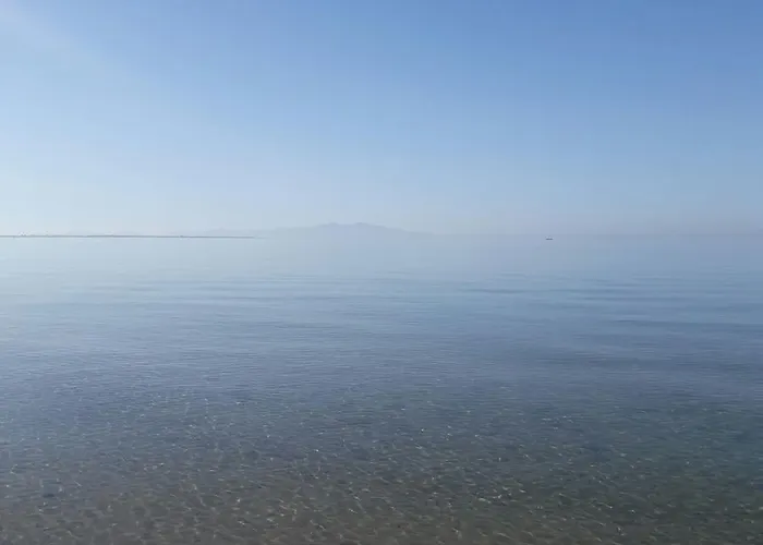 Beyaz Tas Butik Ayvalı