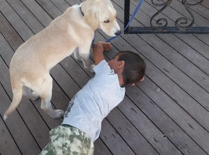 Beyaz Tas Butik Hotel 2*